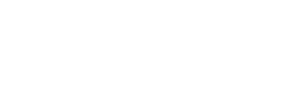 FlowForce Max logo